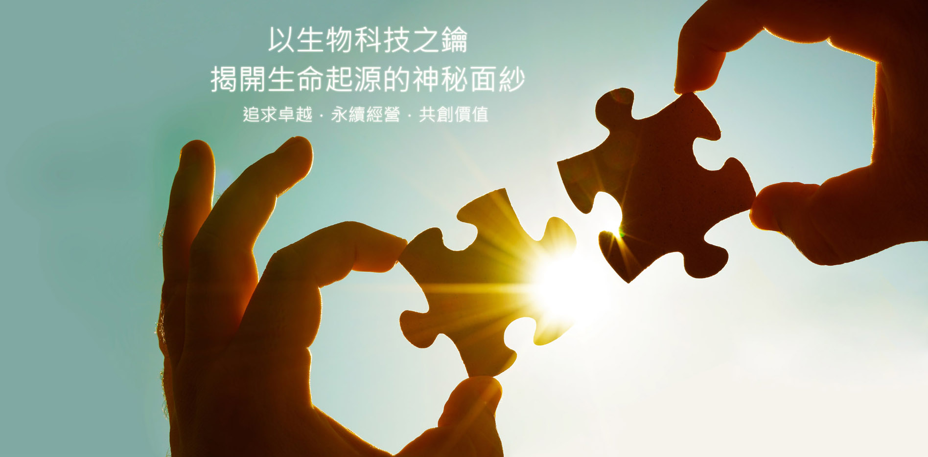 kaiyun.com